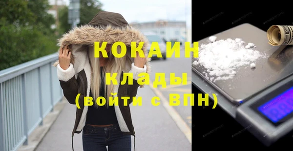 крисы Надым