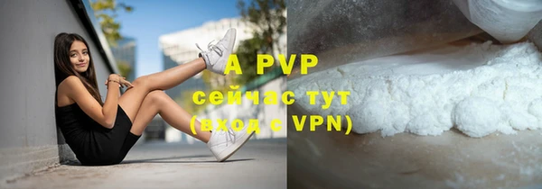 крисы Надым