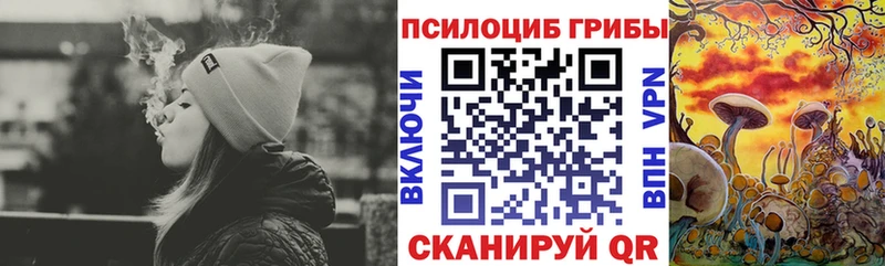 наркота  Хвалынск  Галлюциногенные грибы MAGIC MUSHROOMS 